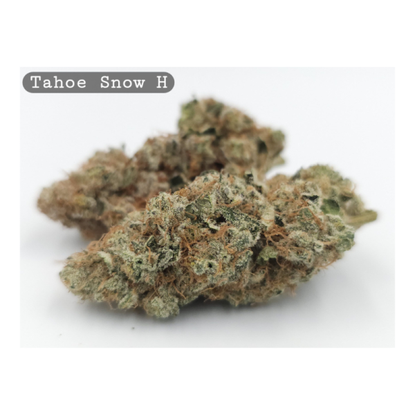 Indoor Tahoe Snow p/g